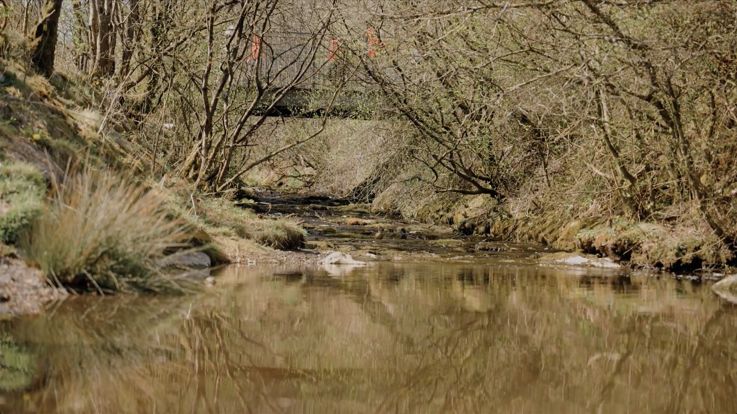 Cwm Clydach Countryside Park