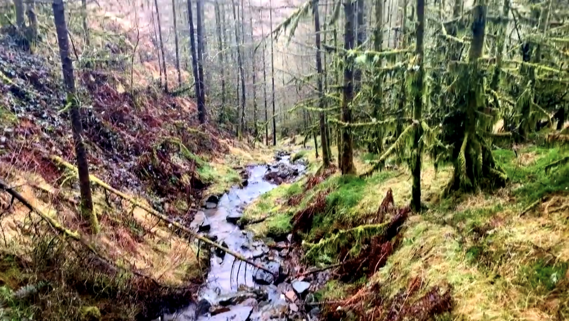 Cwm Clydach Countryside Park